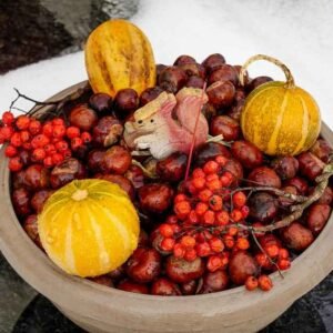 Homophone for a Winter Vegetable Explained Simply