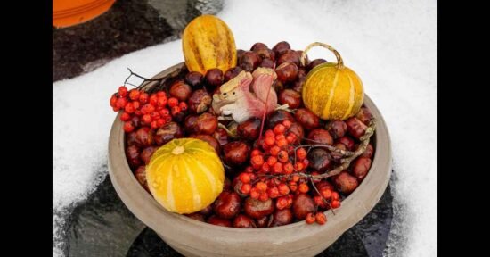 Homophone for a Winter Vegetable Explained Simply