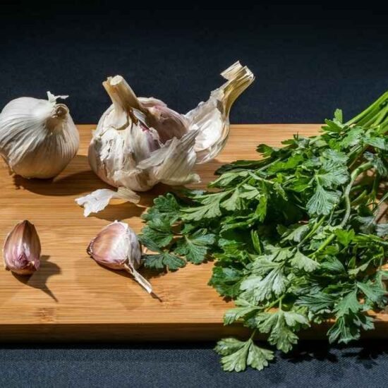 Kinza Herb : Nutrition Recipes & Easy Home Growing