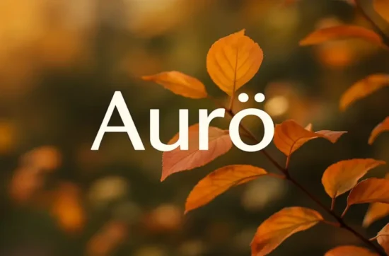 Aurö: Mindful Living Meets Modern Minimalist Design