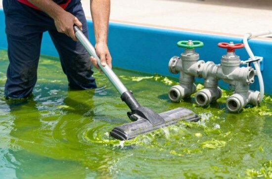 Algae Vacuum Guide for Fast Pool Cleaning