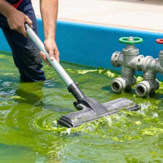 Algae Vacuum Guide for Fast Pool Cleaning