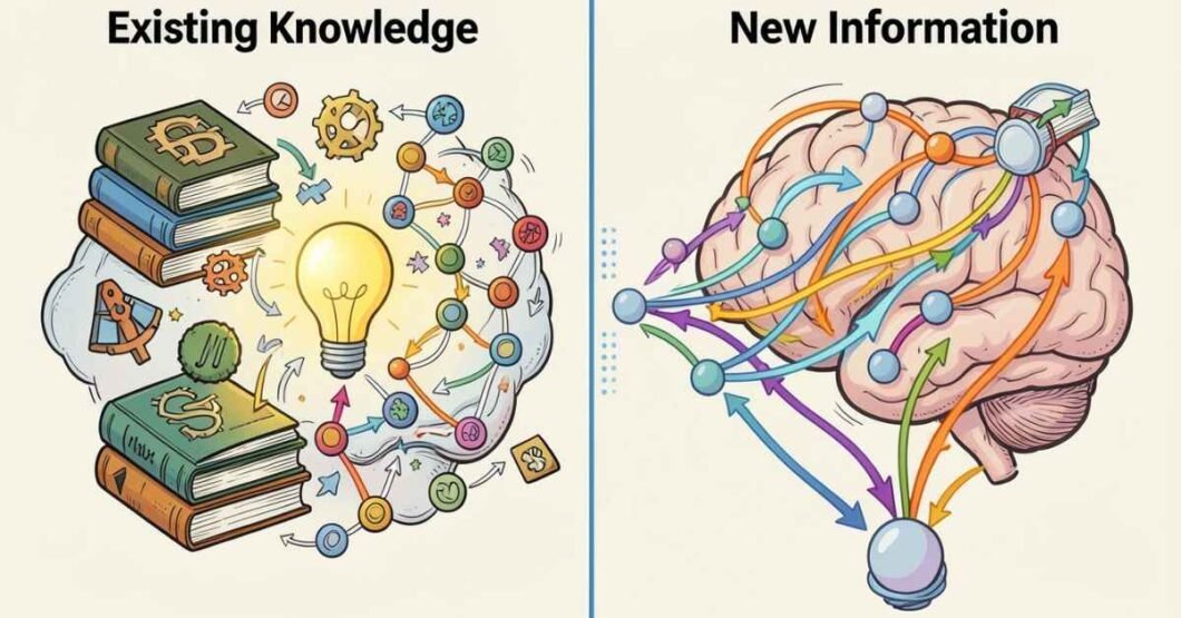 Assimilasjon Explained: Meaning & Examples