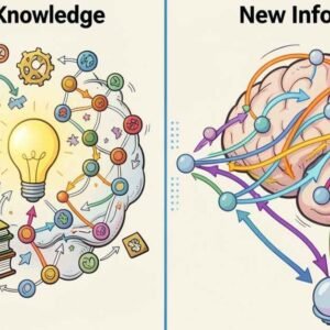 Assimilasjon Explained: Meaning & Examples