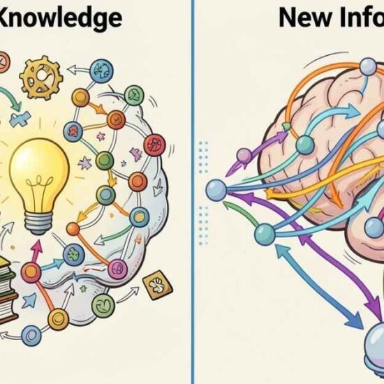 Assimilasjon Explained: Meaning & Examples